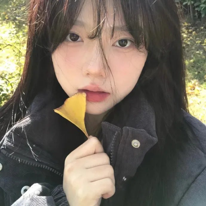 年度鸟事